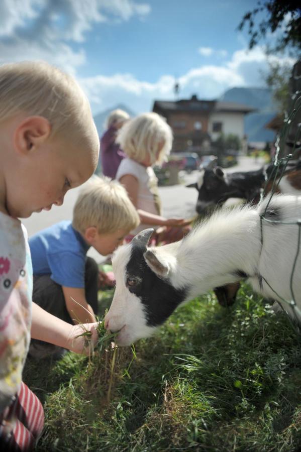 Hocheggerhof - Urlaub Am Bauernhof Farma *
